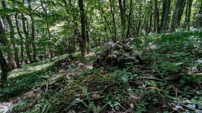 Прикрепленное изображение: IMG_20240510_114315.jpg